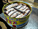 salmon